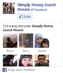 facebook_badge facebook_badge