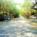 wisata di pantai baru bantul salah satu wisata jogja