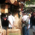 wisata di jogja pasar satwa dan tanaman hias jogja
