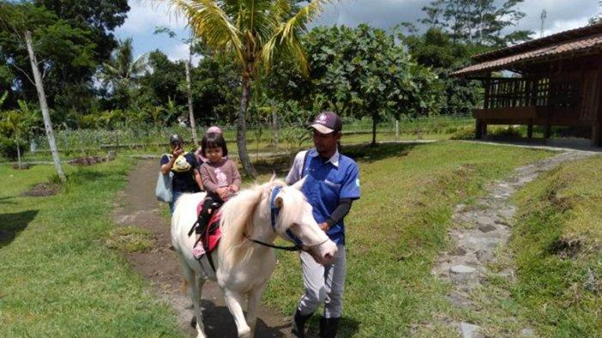 Yuk Coba Rasakan Sensasi Berkuda Di Tiga Tempat Wisata Yogyakarta Ini