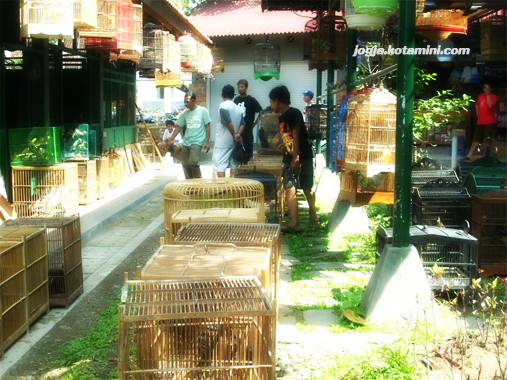 Wisata Edukasi di PASTY