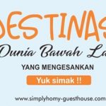 Wisata Pantai Nglambor, Destinasi Dunia Bawah Laut yang Mengesankan