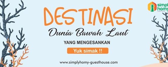 Wisata Pantai Nglambor, Destinasi Dunia Bawah Laut yang Mengesankan