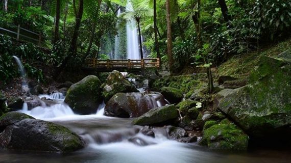 wisata di solo